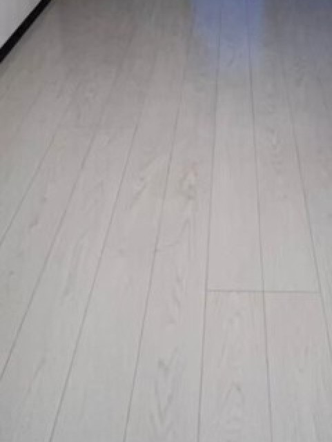 居室・リビング　フローリングのお部屋