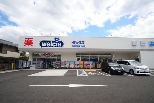 ドラックストア　ダックス長岡京花山店（ドラッグストア）まで564m