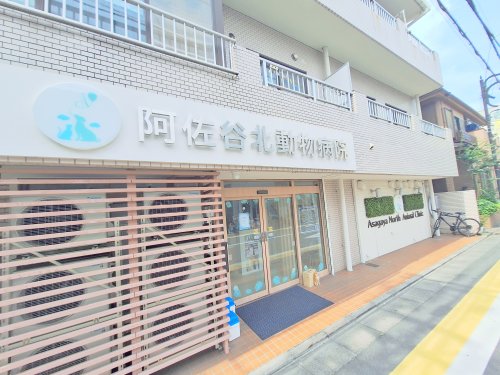 病院　阿佐谷北動物病院（病院）まで147m