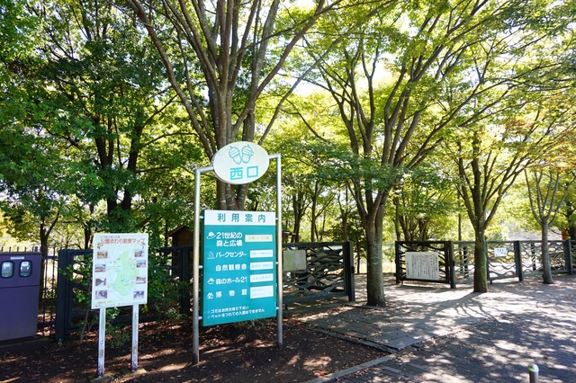 公園　21世紀の森と広場（公園）まで307m