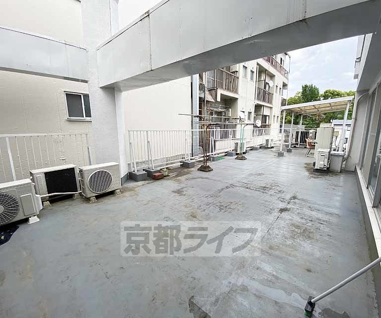 庭