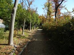 公園　長洲川緑地（公園）まで388m