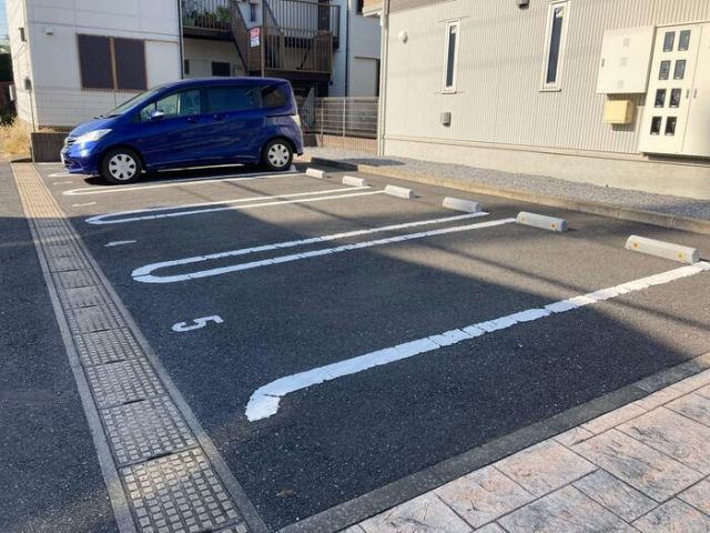 コスモスのその他写真