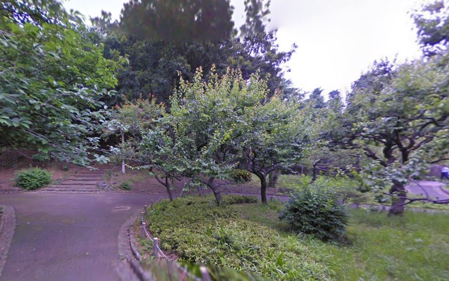 公園　芝公園（公園）まで620m