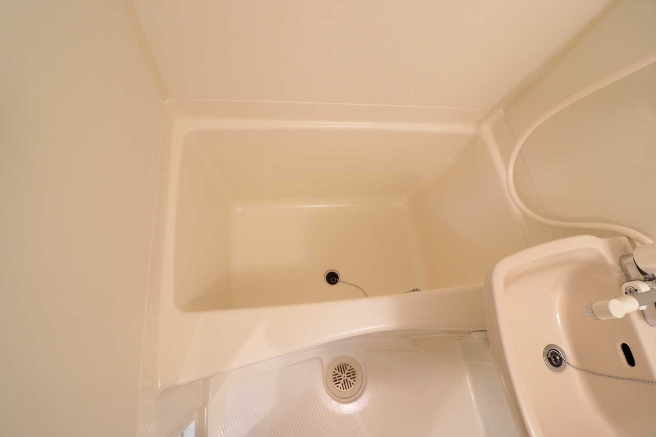 バス・シャワールーム　※同物件、別部屋になります。