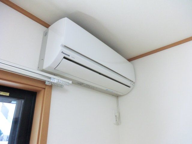 ガーベラのその他写真