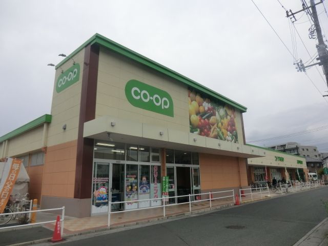 ガーベラの周辺写真