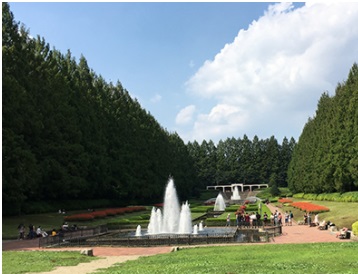 Skyview Ridgeの周辺写真
