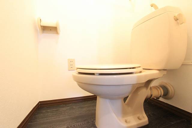 トイレ　トイレには窓はありませんが綺麗です。