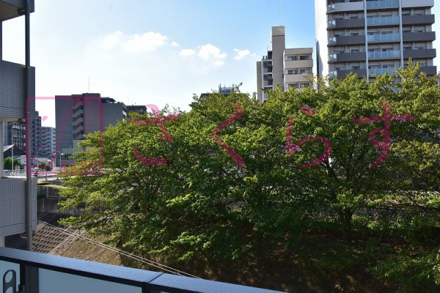 眺望　3階からの眺望