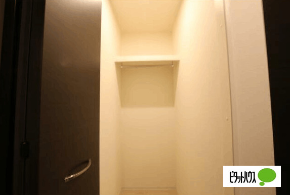 ステラYの内装写真