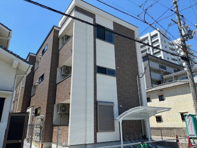 ステラY