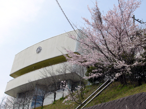 【広島市安佐南区山本のマンションの写真】