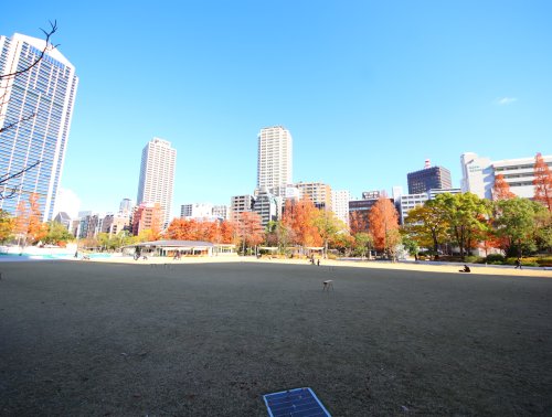 【エステムプラザ神戸三宮ルクシアの公園】