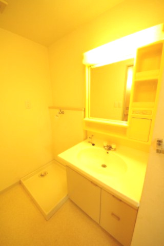 洗面設備　※同タイプの別の部屋の写真です。