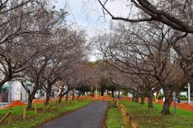 公園　江北緑道（公園）まで694m