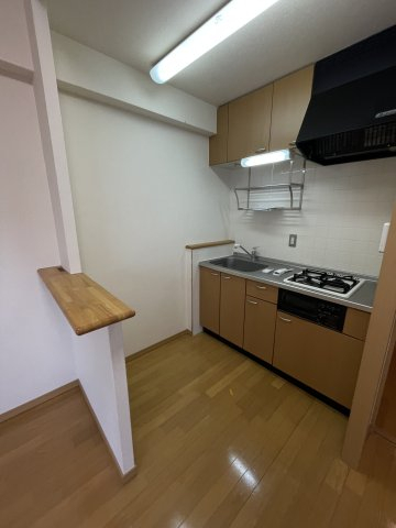 その他部屋・スペース　キッチン周りの内装です