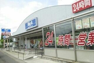ショッピングセンター　ビッグ・エー越谷東大沢店（ショッピングセンター）まで440m