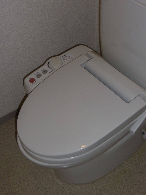 リヴシティ新宿壱番館のトイレ写真