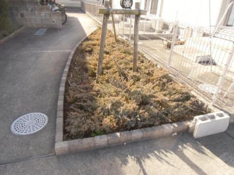 庭　庭（イメージ）