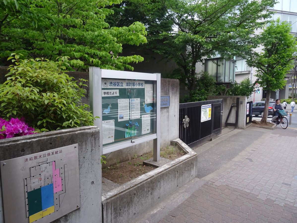 【渋谷区恵比寿のマンションの小学校】