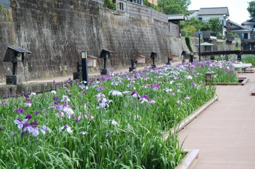 【シエルメゾンの公園】