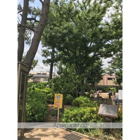 公園　世田谷新町公園（５４７ｍ）（公園）まで547m