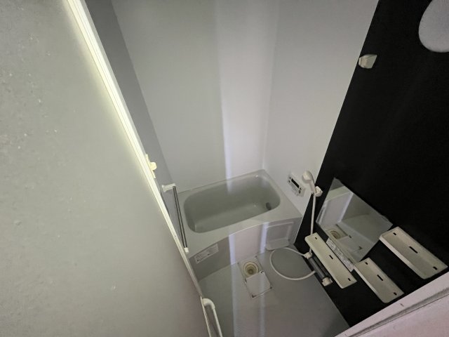 バス・シャワールーム　落ち着いた空間のお風呂です