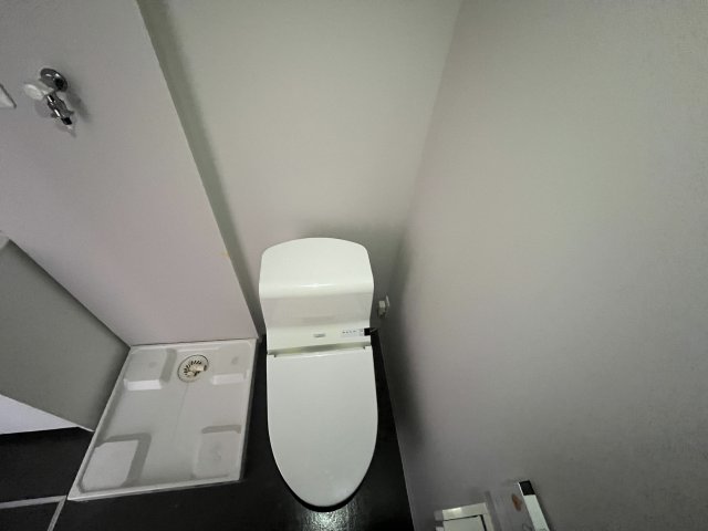 トイレ　トイレです