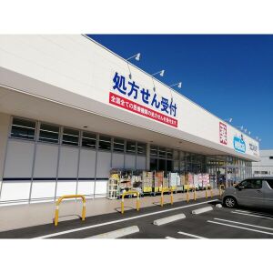 ドラックストア　ウェルシア静岡水道町店（ドラッグストア）まで193m