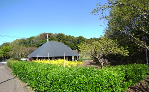 【ドリームマンションの公園】