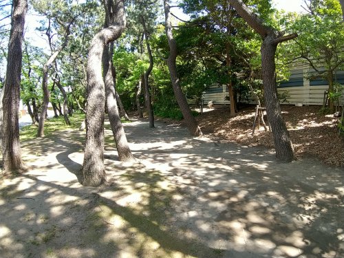 【ピアリIVの公園】