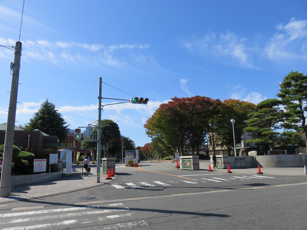 大学・短大　国立大学法人鳥取大学（大学・短大）まで700m
