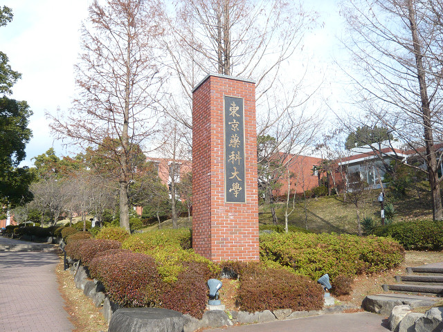 大学・短大　東京薬科大学（大学・短大）まで2481m
