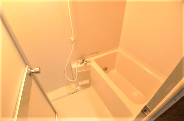 バス・シャワールーム　※他号室の写真です
