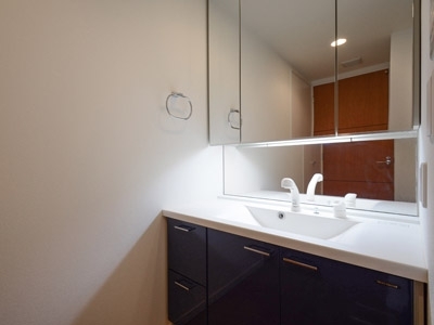 その他　洗面・同タイプ参照