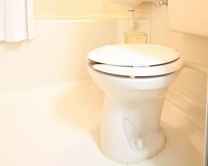 トイレ　同物件、別号室のものです。