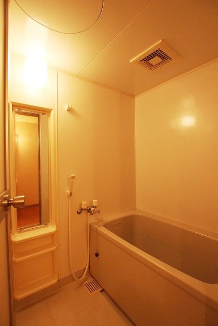 バス・シャワールーム　同物件別号室の写真です。