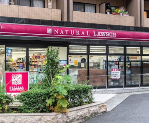 コンビニ　ナチュラルローソン南麻布二丁目店（コンビニ）まで346m