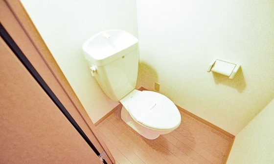 トイレ　※別号室の写真です