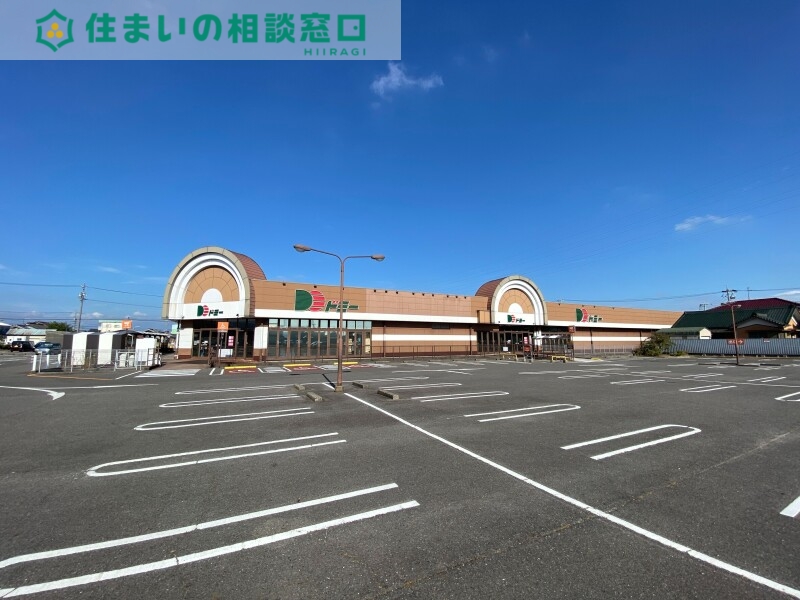 スーパー　ドミー一色店（スーパー）まで1096m