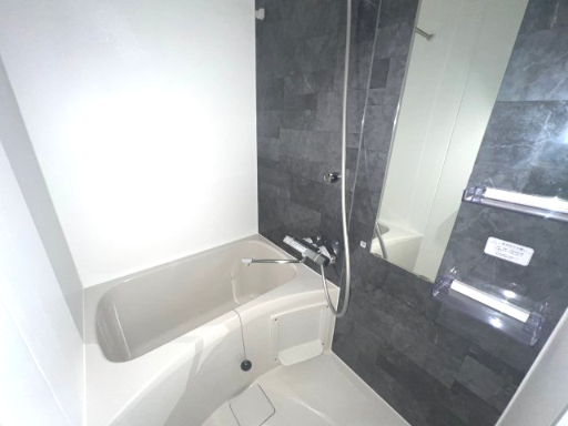 バス・シャワールーム　落ち着いた空間のお風呂です