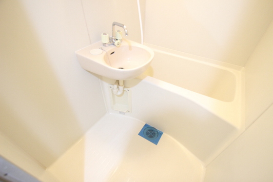 バス・シャワールーム　※別部屋の写真です