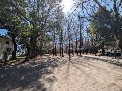 公園　蘆花恒春園（公園）まで315m