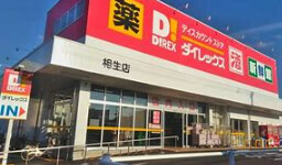 ショッピングセンター　DiREX相生店（ショッピングセンター）まで1479m