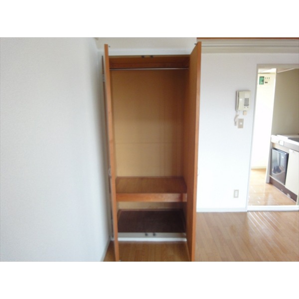 収納　クローゼットタイプ