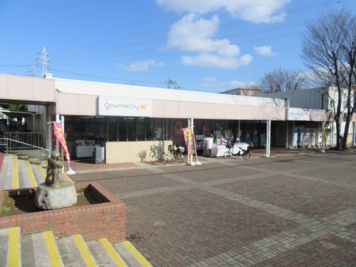 スーパー　ビッグ・エー 千葉あやめ台団地店（スーパー）まで1300m