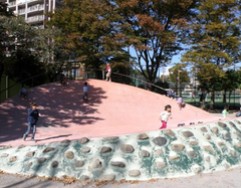 公園　渋江公園（公園）まで584m