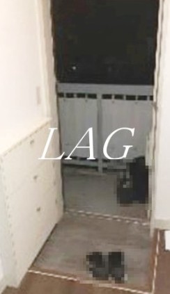 玄関　玄関です。