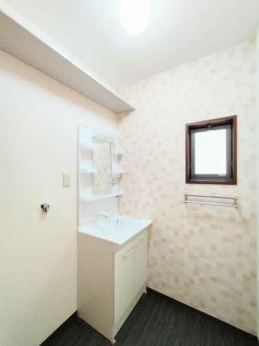 洗面設備　シャワー付き洗面台・洗濯機置場